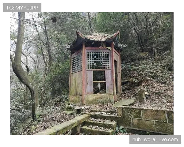 刷到谌利军的私照，衣柜里堆着杠铃片，豪车钥匙和护膝放一堆，笑抽